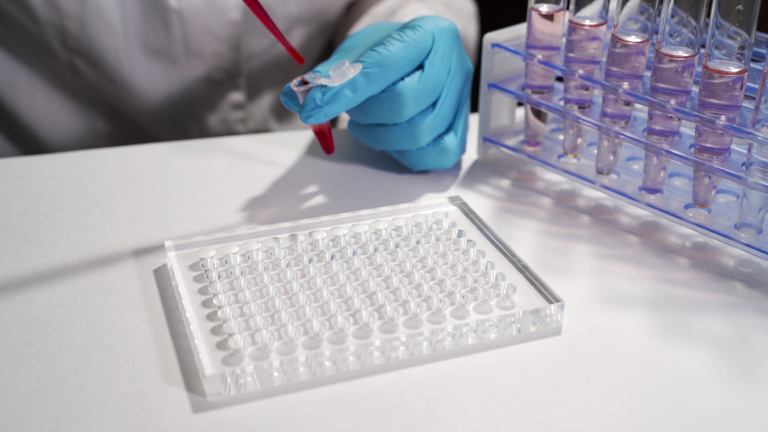 DNA Testing Montgomery, AL | Paternity Testing Montgomery, AL | Maternity Testing Montgomery, AL